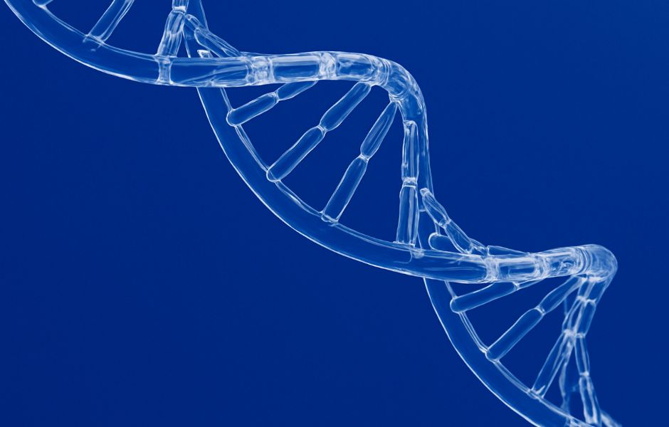 Microbiome & Epigenetics, what are they?